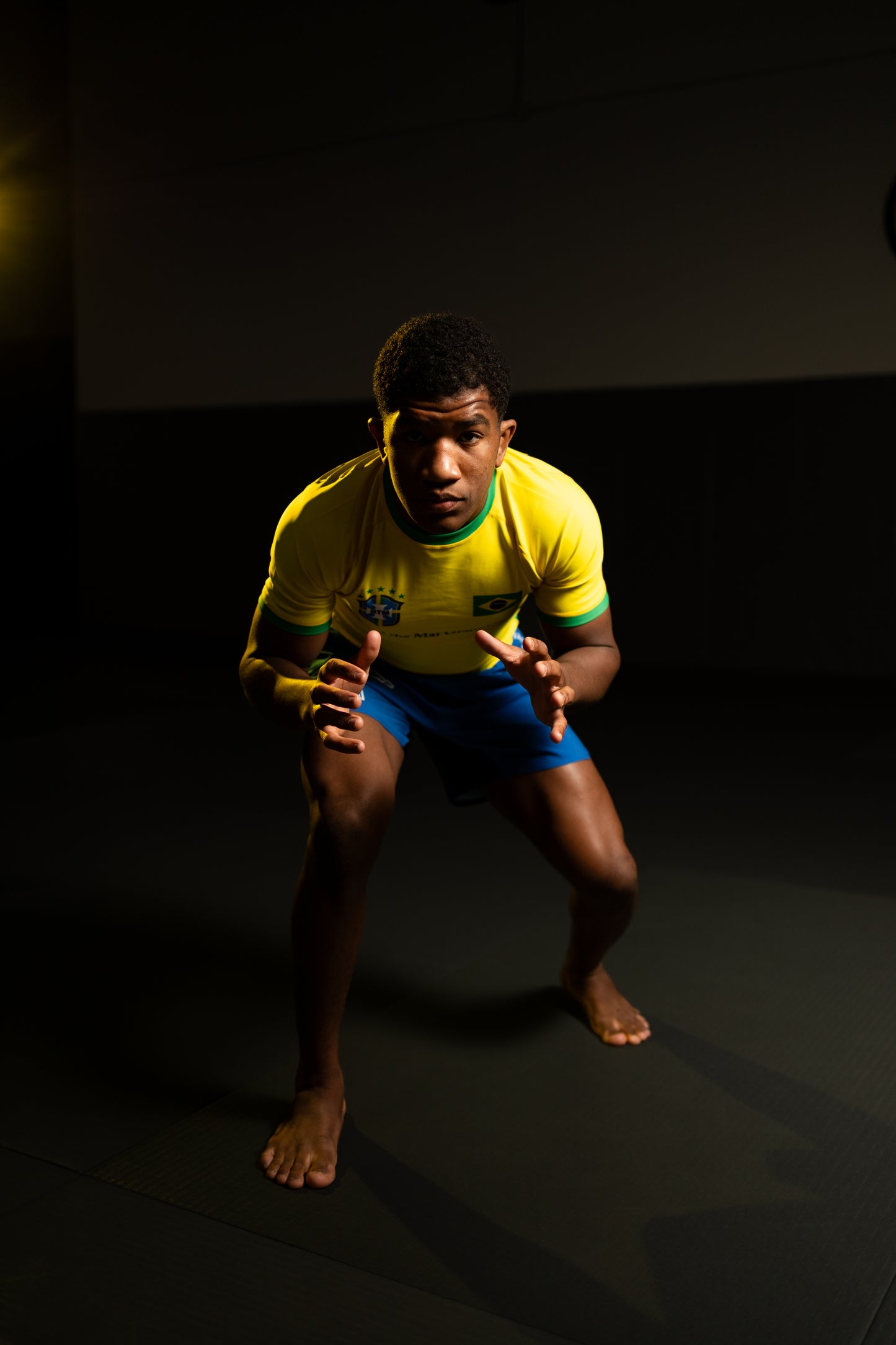 Spirit of Brazil Fight Shorts