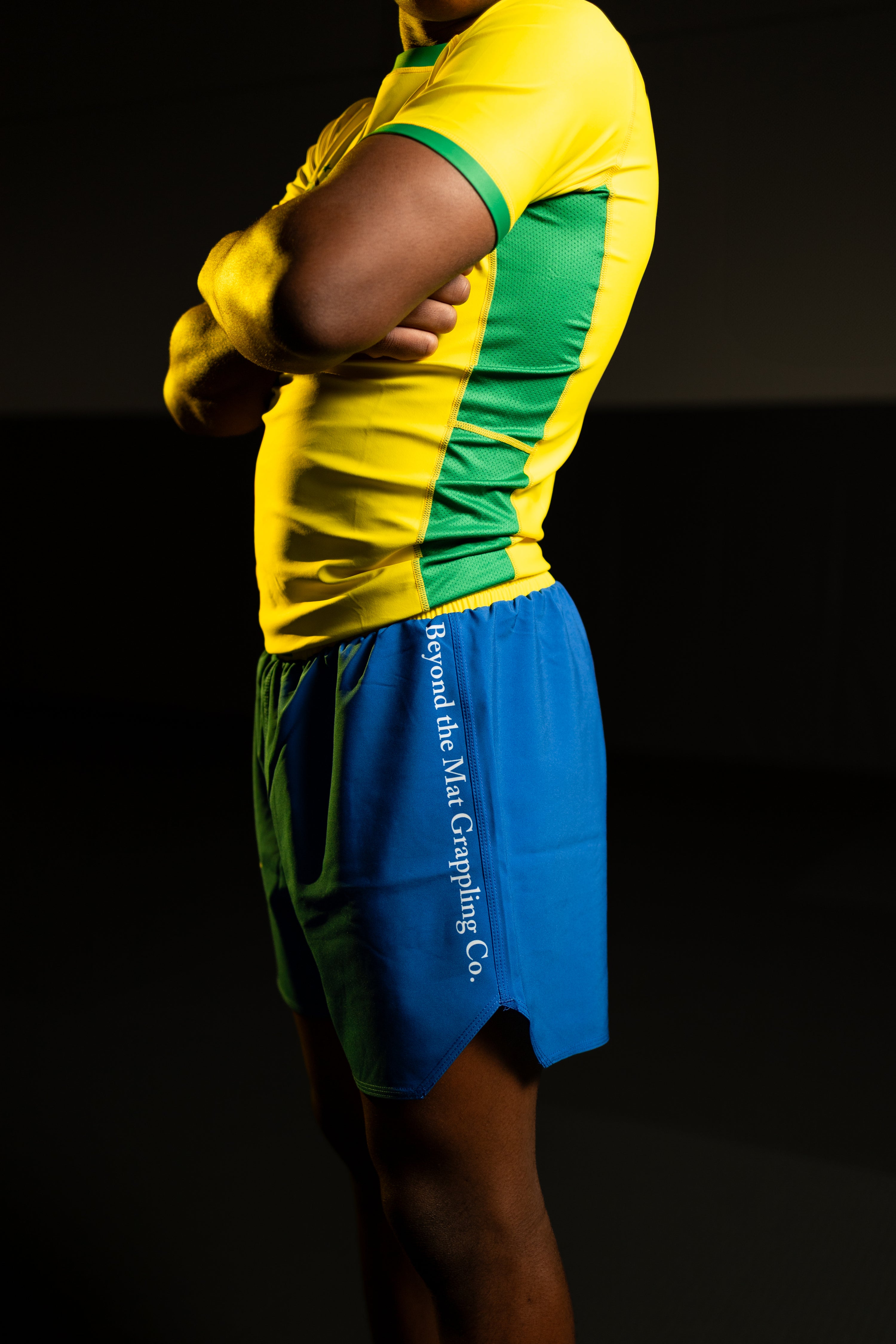 Spirit of Brazil Fight Shorts
