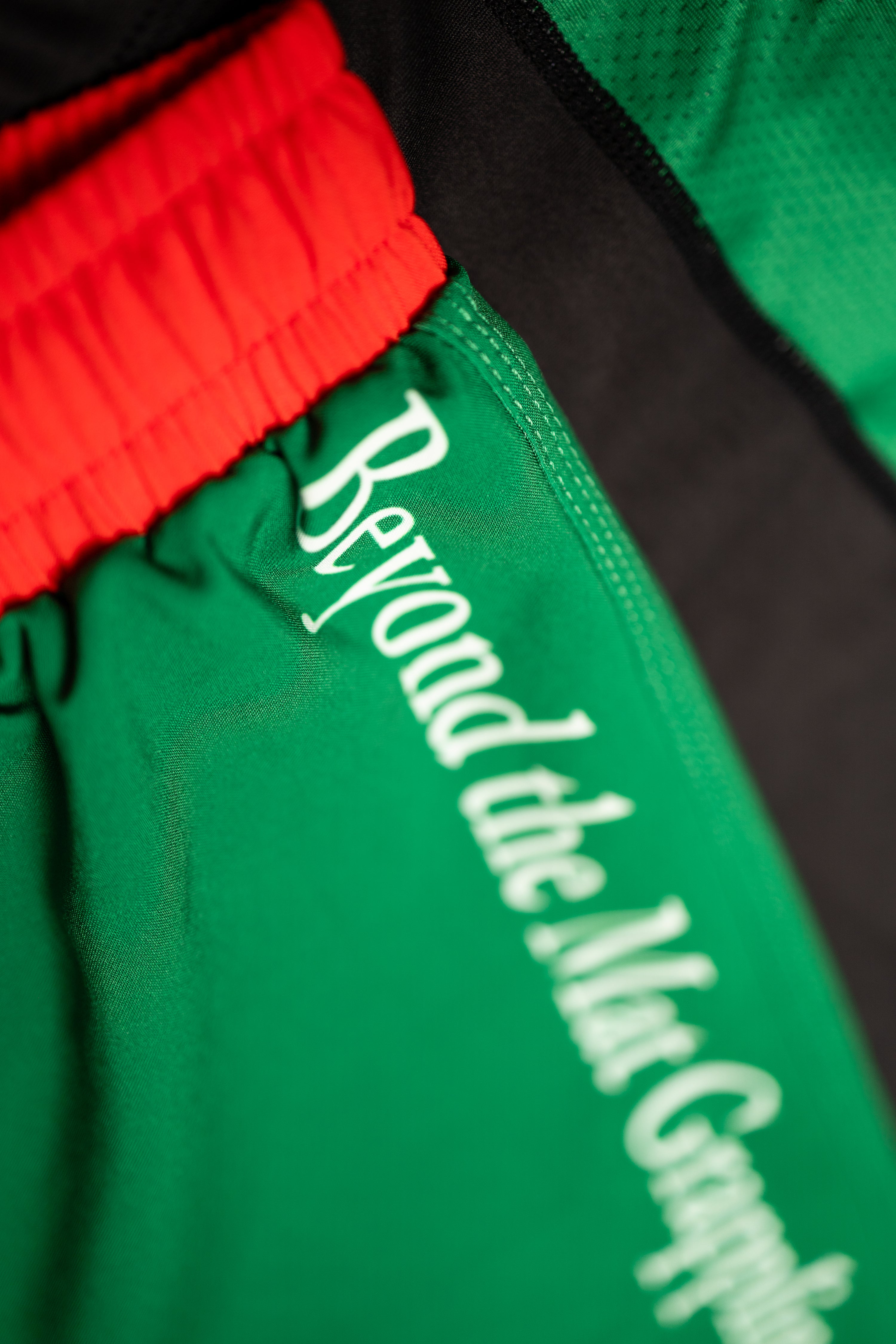 Spirit of Mexico Fight Shorts