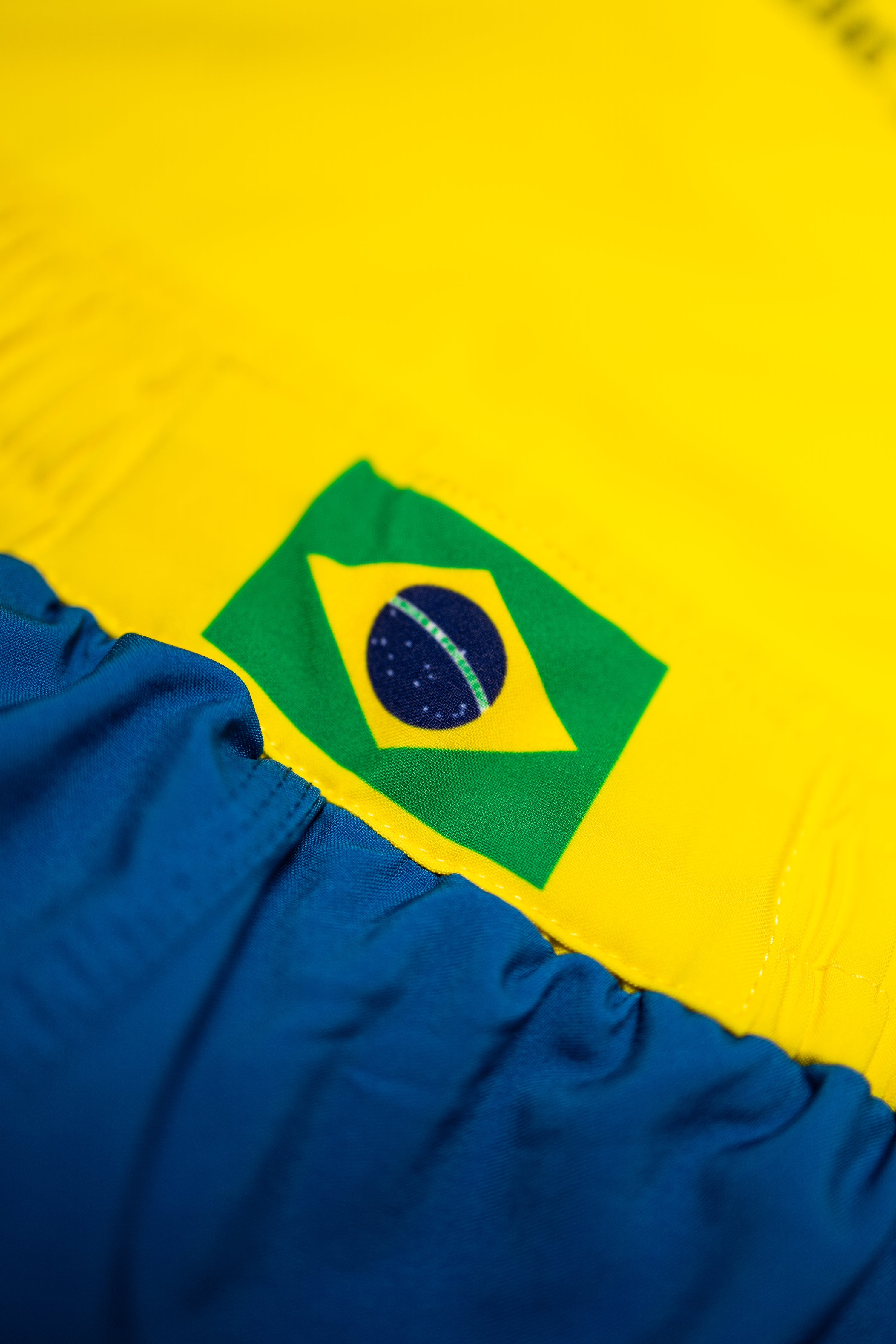 Spirit of Brazil Fight Shorts